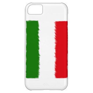 Mexican Case iPhone 5C Cases
