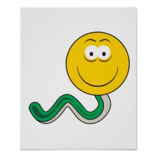 Snake Smiley Face Posters