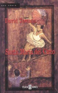 Santa Maria del Circo.: David. Toscana: 9789681103231: Books