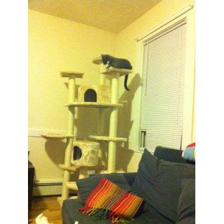 80" Cat Tree Condo Furniture Scratch Post Pet House : Pet Supplies