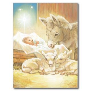 Baby Jesus Nativity with Lambs and Donkey Postcards