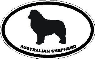 6" Australian Shepherd euro oval Magnet for Auto Car Refrigerator or any metal surface.  