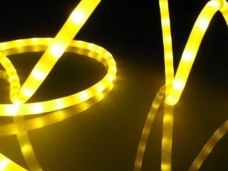 50Ft Rope Lights; Golden Yellow LED Rope Light Kit; 1.0" LED Spacing; Christmas Lighting; outdoor rope lighting: Home Improvement