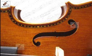 D Z Violin 4/4 601F Full Size Professional Handmade Violin Flower Inlay w/ $600 Free Gift: Musical Instruments