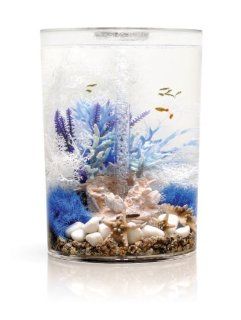 biUbe Pure Aquarium with Halogen Light, Clear, 9 Gallons : Biorb : Pet Supplies