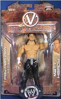 WWE Wrestling Action Figure PPV Pay Per View Series 16 Vengeance Matt Hardy: Toys & Games