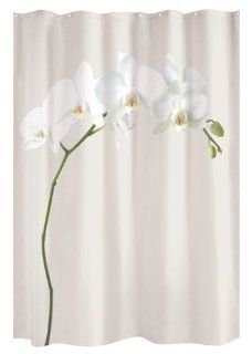 Shower Curtain Orchid   Tres Shower