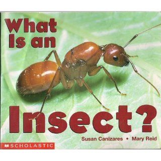 What Is An Insect? (Emergent Readers): Susan Canizares, S Canizares, Mary Carpenter Reid, M Reid: 9780590397902: Books
