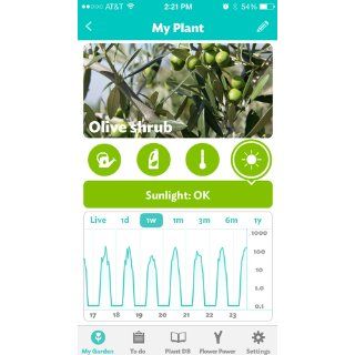 Parrot Flower Power   Wireless Indoor/Outdoor Bluetooth Smart Plant Sensor with Free dedicated App   Green: MP3 Players & Accessories