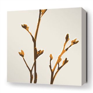 Inhabit Botanicals Axis Stretched Graphic Art on Canvas in Sunshine AXO Size