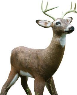 Tink's Mr. October Buck Decoy : Hunting Decoys : Sports & Outdoors
