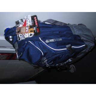High Sierra Access Backpack (20 x 15 x 9.5 Inch, Blue/Black Plaid): Sports & Outdoors