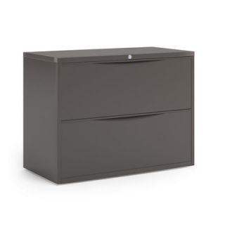 Mayline CSII 2 Drawer  File C841H Finish Medium Tone