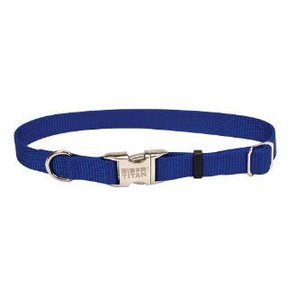 Coastal Pet Products DCP6196220BLU Nylon Titan Adjustable Dog Collar with Metal Buckle, 1 Inch, Blue : Pet Supplies