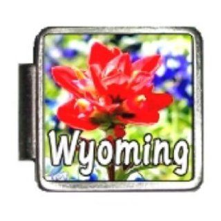 Wyoming State Flower Indian Paintbrush Photo Italian Charm Bracelet Link: Italian Style Single Charms: Jewelry