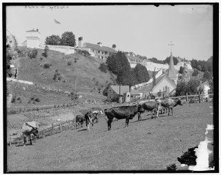 Photo: Picturesque Fort Mackinac, cows, cattle, Island, Michigan, Detroit Publishing Co, 1900   Prints