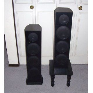 Pioneer SP FS51 LR Floorstanding Loudspeakers (Black, Pair) (Discontinued by Manufacturer): Electronics