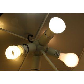 Philips 425264 12  watt A19 LED Household Daylight Light Bulb, Dimmable    