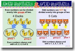 Even and Odd Numbers   Educational Classroom Math Poster  Prints  
