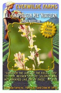 Everwilde Farms   Northern Lights Mix Tall Snapdragon Wildflower Seeds   Jumbo Seed Packet (2000) : Flowering Plants : Patio, Lawn & Garden
