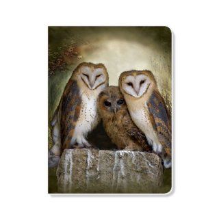 ECOeverywhere Three Owl Moon Journal, 160 Pages, 7.625 x 5.625 Inches, Multicolored (jr12483) : Hardcover Executive Notebooks : Office Products