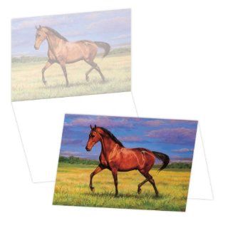 ECOeverywhere That's My Horse Boxed Card Set, 12 Cards and Envelopes, 4 x 6 Inches, Multicolored (bc12456) : Blank Postcards : Office Products