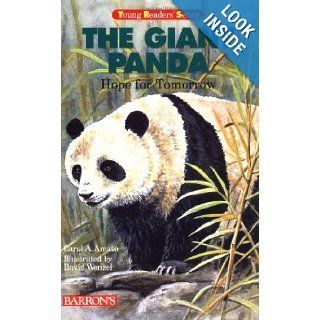 The Giant Panda: Hope for Tomorrow (Young Readers' Series): Carol Amato, David T. Wenzel: 9780764113345:  Children's Books