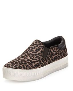 Leopard Print Calf Hair Slip On Sneaker, Black/Brown   Ash   Brown pattern (6B)