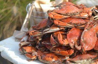 The Crab Place 1 dozen steamed Premium (5?" 6?") male Maryland hard crabs 120 Ounce Box : Shellfish Seafood : Grocery & Gourmet Food