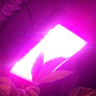 Apollo Horticulture GL100LED Full Spectrum 300W LED Grow Light for Indoor Plant Growing : Plant Growing Lamps : Patio, Lawn & Garden