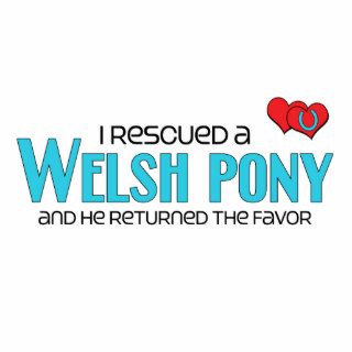 I Rescued a Welsh Pony (Male Pony) Photo Sculptures