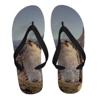 Peregrine Falcon Sandals