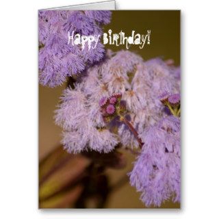 Purple Spiky Flower; Happy Birthday Greeting Card