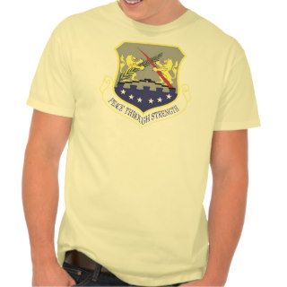 100th Air Refueling Wing / Hanes Nano T Shirt Shirts