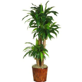 Nearly Natural 62" Dracena W/Basket Silk Plant (Real Touch)   Artificial Plants