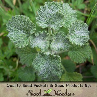 50 Seeds, Horehound Herb (Marrubium vulgare) Packaged By Seed Needs : Herb Plants : Patio, Lawn & Garden