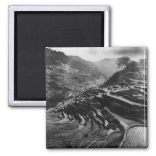 Rice Terraces in the Philippines Fridge Magnets