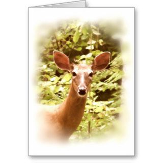 Portrait of a Deer Greeting Cards