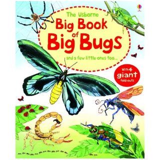 The Usborne Big Book of Big Bugs: And a Few Little Ones Too: Emily Bone Usborne Publishing Ltd: 9780794533007: Books