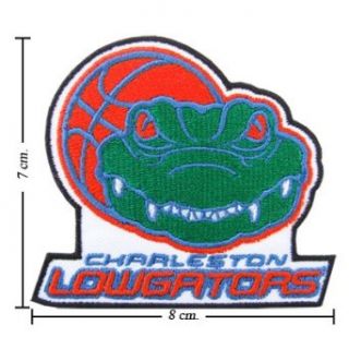 Charleston Lowgators The Past Logo Embroidered Iron Patches Clothing