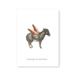Tokyo Milk Anything Is Possible (Donkey Wings) Greeting Card (Objects of Desire): Margot Elena: Books