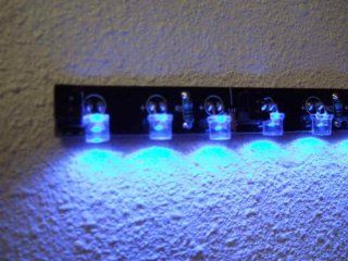 24 Blue LEDs. NEON Light Strip 12V LED W/ 3M Tape (14 Inches) : Rope Lights : Everything Else