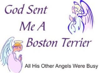 Boston Terrier   God Sent Me A Boston Terrier Apron: Clothing