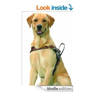 Service Dogs: Says Who? [Dogs and other animals are being trained to assist people with disabilities. Shouldn't they be certified by somebody and carry identification?] eBook: Mandy Stadtmiller: Kindle Store