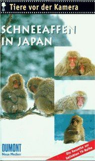Tiere vor der Kamera: Schneeaffen in Japan [VHS]: Ernst Arendt, Hans Schweiger: VHS