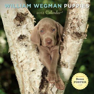 William Wegman Puppies 2012 Wall Calendar (9780810998629): William Wegman: Books