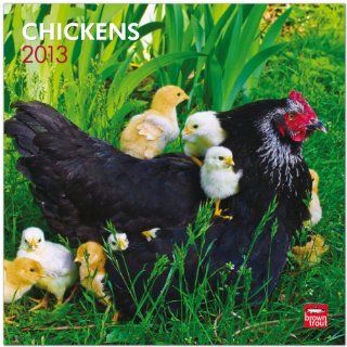 Chickens 2013   Hhner   Original BrownTrout Kalender: BrownTrout Kalender bei Strtz: Bücher