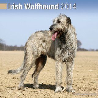 Kalender 2014 Irischer Wolfshund   Irish Wolfhound + kostenlose Weihnachtskarte: Haustier