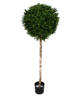 4.5 ft. Boxwood Ball Topiary on Stem