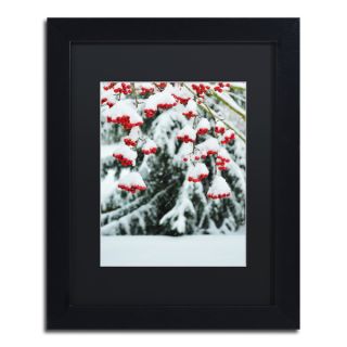 Kurt Shaffer Winter Berries and Pine Framed Matted Art